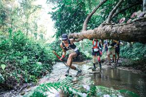 BIB: 
                            <button type="button" onclick="openModal(25444074)" class="btn btn-primary btn-sm float-right btn-popup" data-toggle="modal" data-target=".modal-high-quality">
                        <i class="fas fa-shopping-cart"></i> Add to Cart
                    </button>
                                            <button type="button" onclick="isThisMe(25444074, true)" class="btn btn-success btn-sm float-right btn-popup btn-isme hidden" data-toggle="tooltip" data-placement="bottom" title="นี่คือรูปของคุณใช่ไหม คลิกที่นี่เพื่อเอาเข้าอัลบั้ม">
                        <i class="fas fa-plus"></i> Add to album
                    </button>
                    <button type="button" onclick="isThisMe(25444074, false)" class="btn btn-warning btn-sm float-right btn-popup btn-isnotme hidden">
                        <i class="fas fa-ban"></i> Remove from album
                    </button>